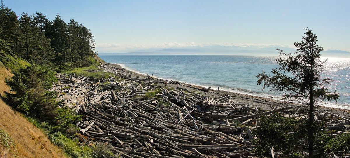 Island County, Washington